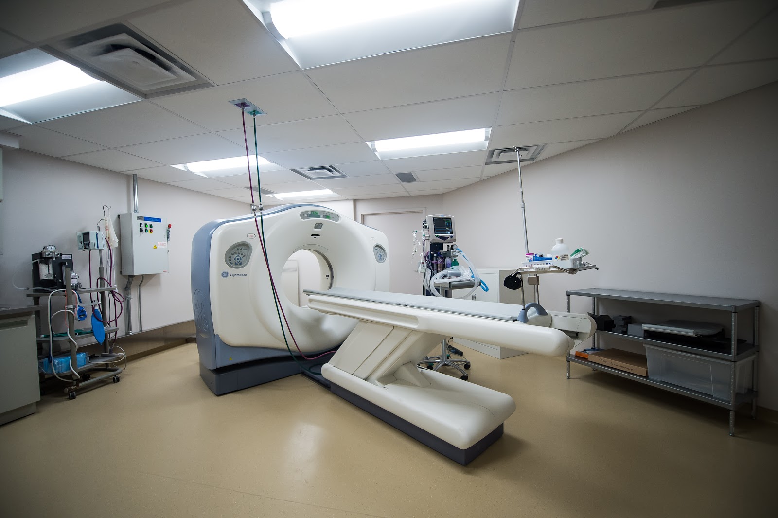 Friendship Hospital For Animals - Washington , United States