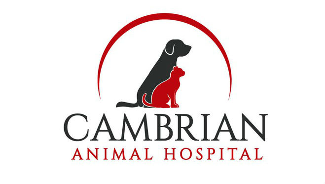 Cambrian Animal Hospital - Greater Sudbury , Canada