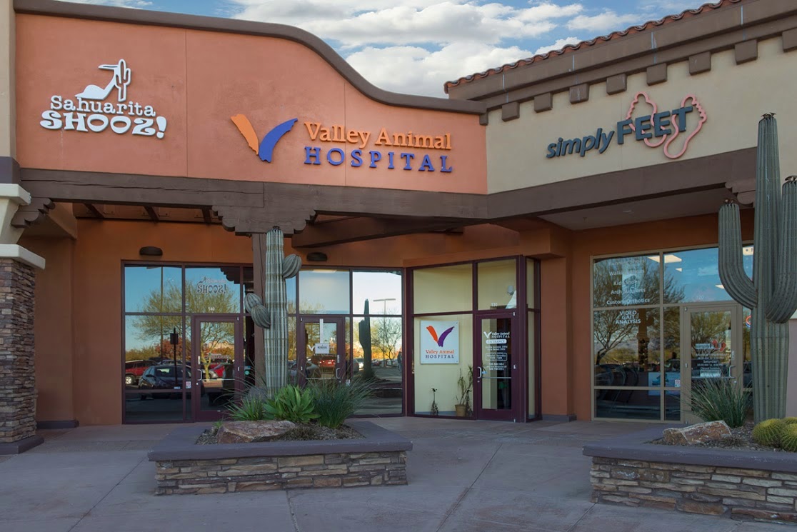 Vca Valley Animal Hospital Of Sahuarita - Sahuarita , United States