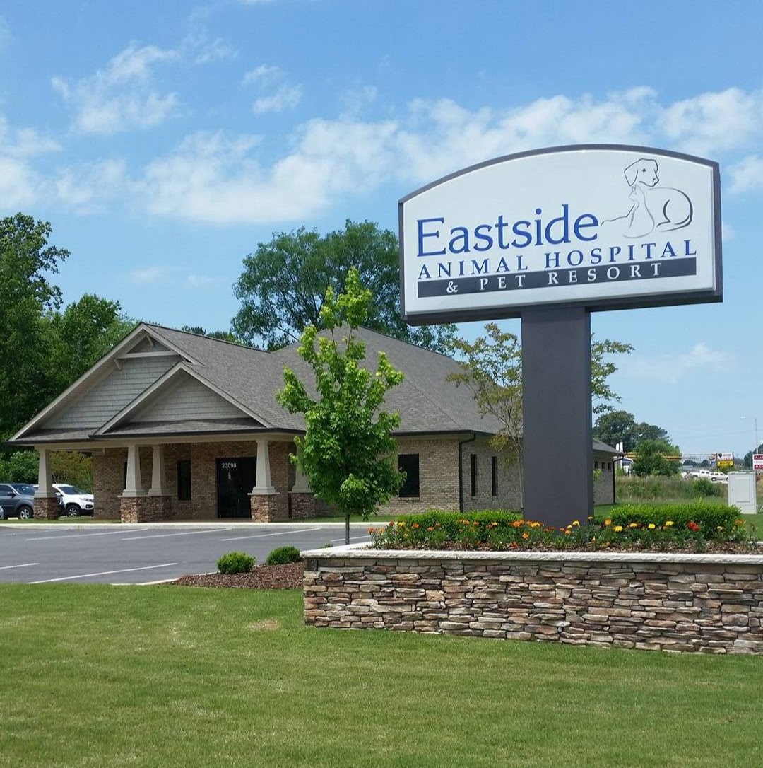Eastside Animal Hospital - Athens , United States