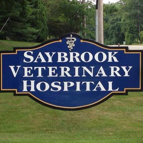 Saybrook Veterinary Hospital - Old Saybrook , United States