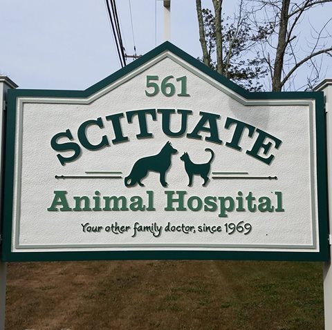 Scituate Animal Hospital - Scituate , United States