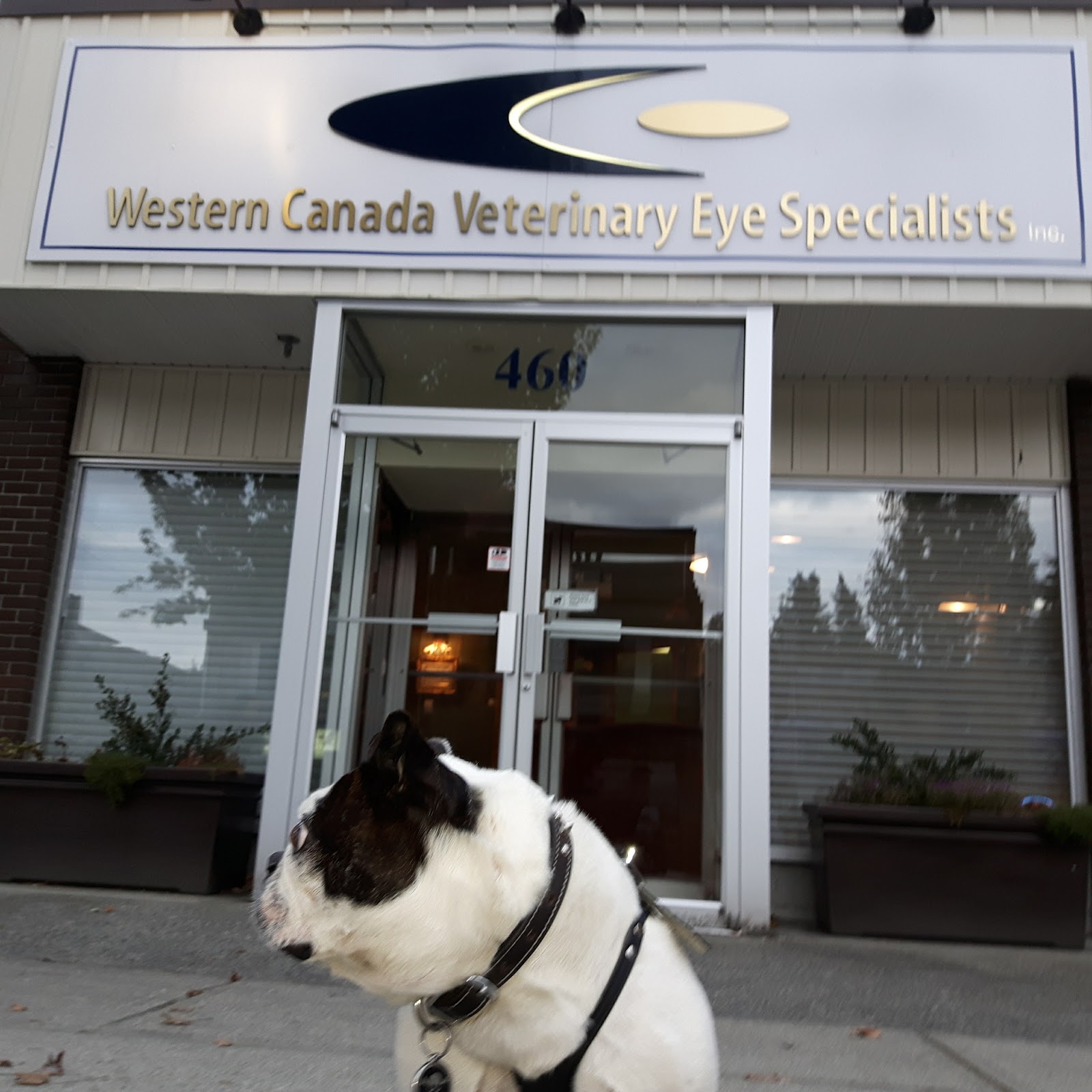 Western vet hot sale specialist