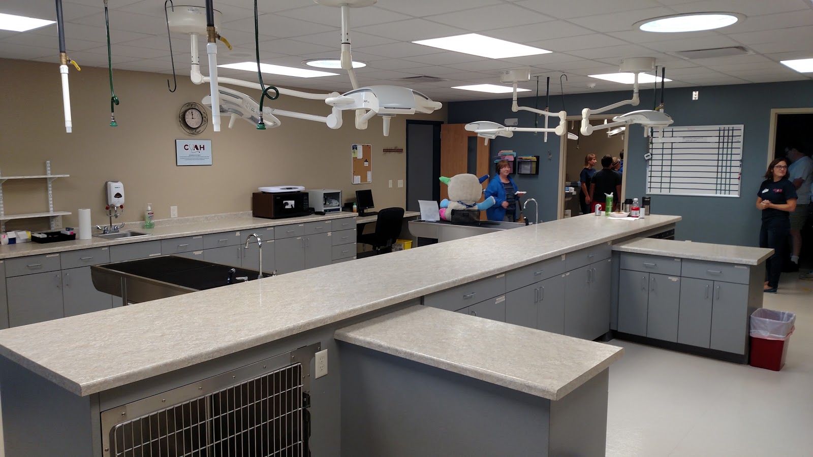 Country View Animal Hospital - Neenah , United States