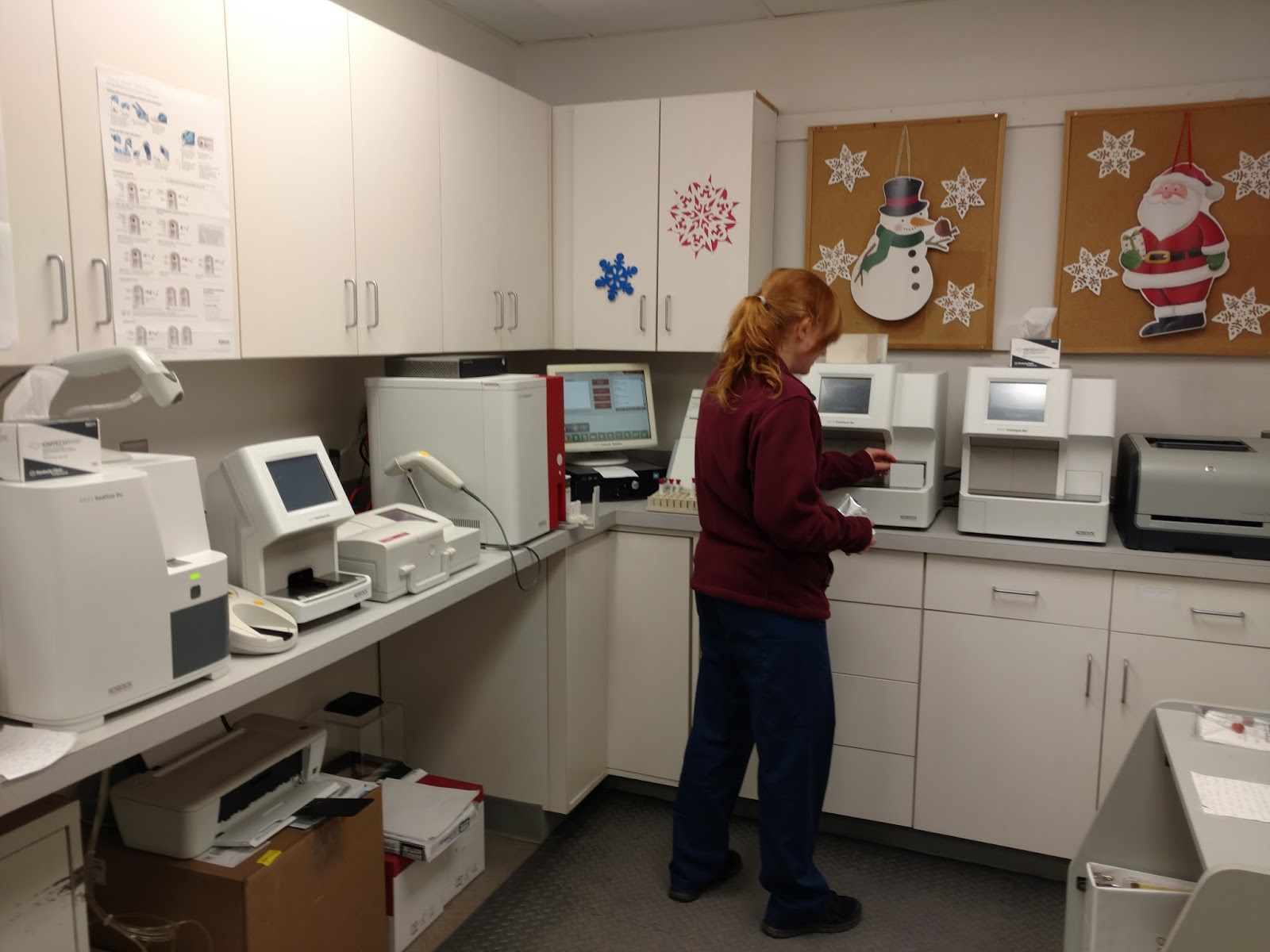 Sayrebrook Veterinary Hospital - Sayreville , United States