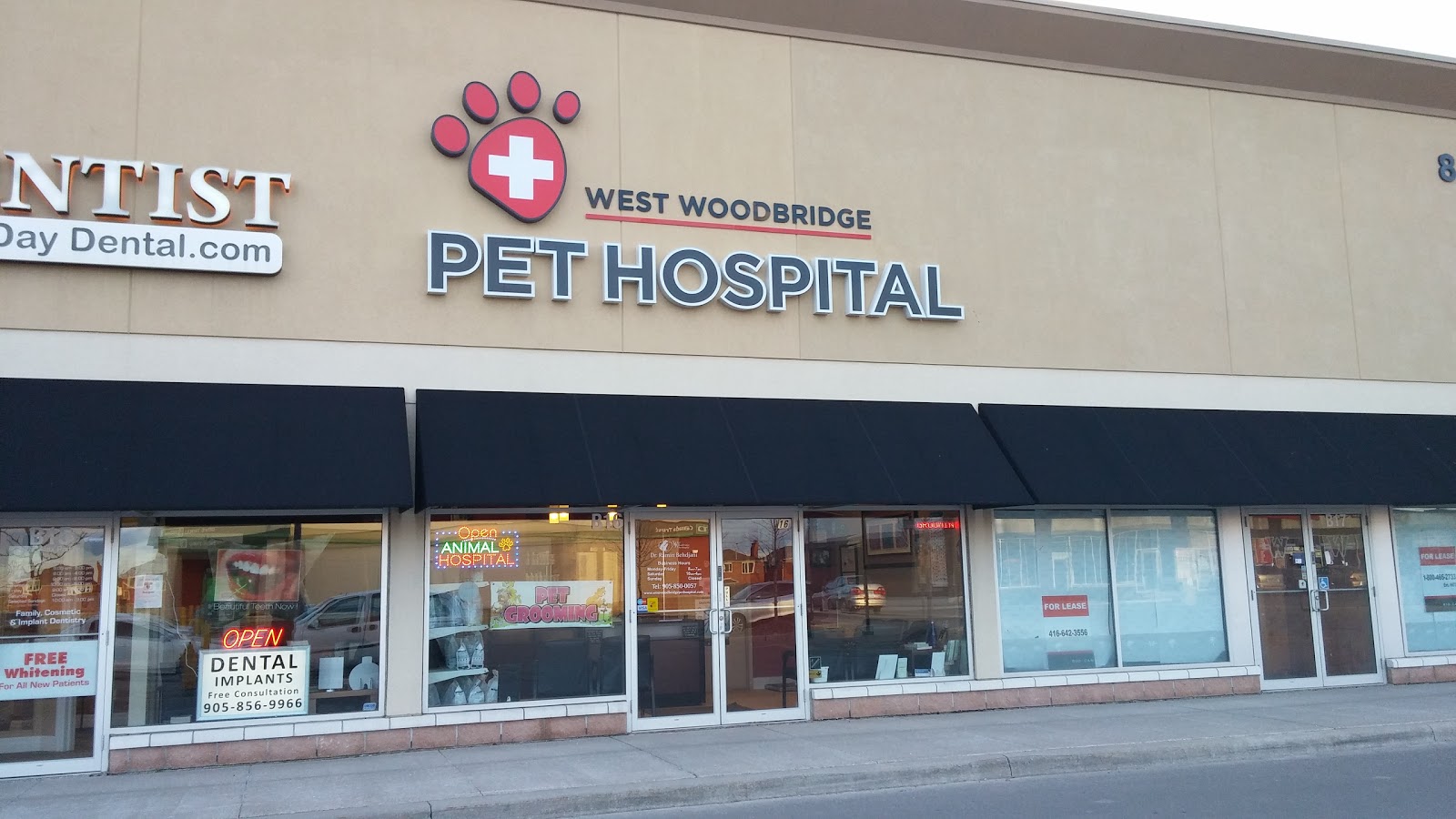 West Woodbridge Pet Hospital, 8280 Highway 27, Woodbridge, Reviews and  Appointments - TopVet