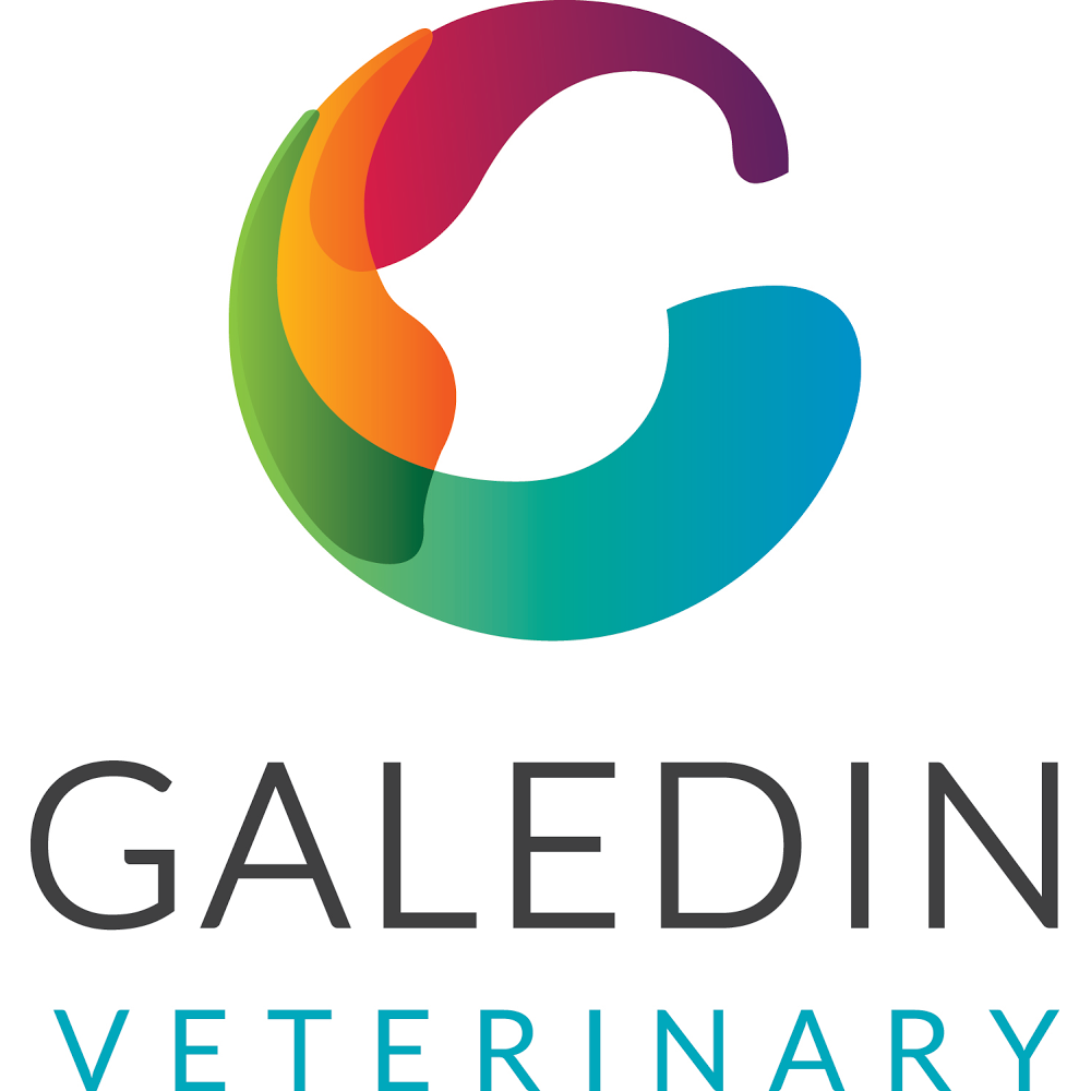 Galedin Vets Galashiels - Galashiels , United Kingdom