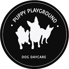 Puppy Play Ground - Sydney , Australia