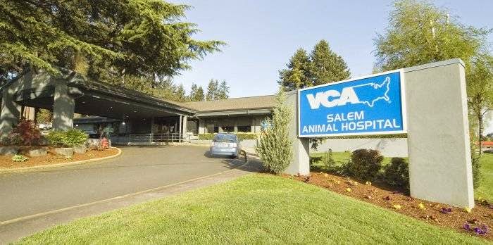 Vca Salem Animal Hospital - Salem , United States