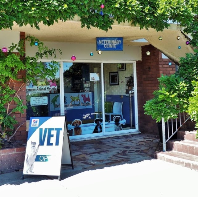 Belconnen Animal Hospital - Weetangera , Australia