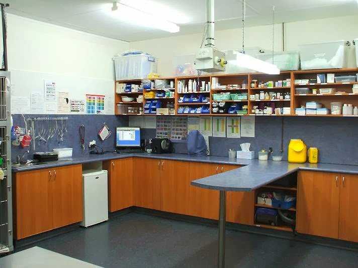 Vetwest Animal Hospitals Clarkson Mindarie - Mindarie , Australia