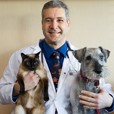 Centre Street Animal Hospital - Thornhill , Canada