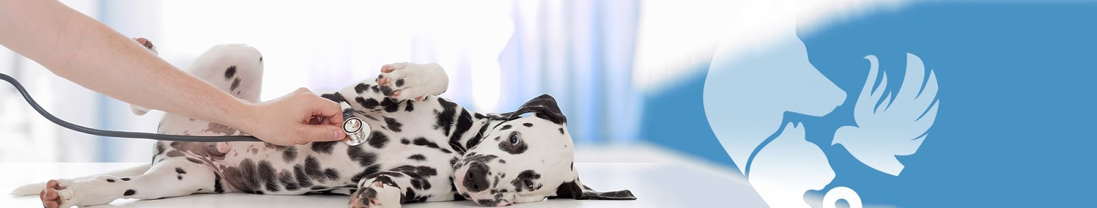 Molesey Veterinary Centre - East Molesey , United Kingdom