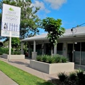 Ascot Veterinary Surgery - Ascot , Australia