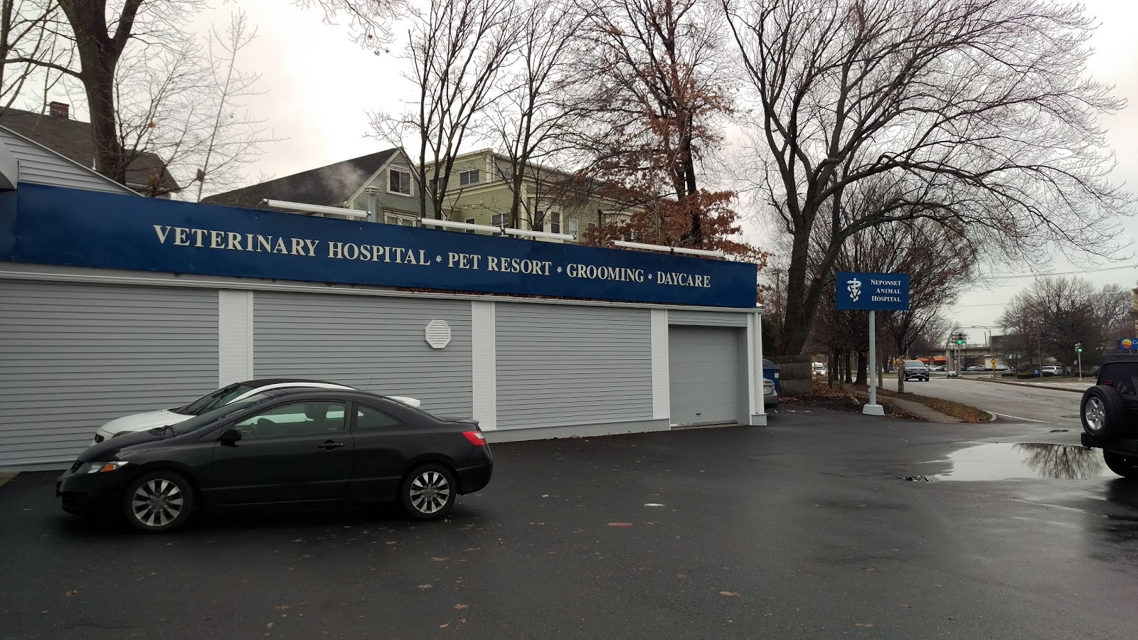 Neponset Pet Center And Animal Hospital - Dorchester , United States