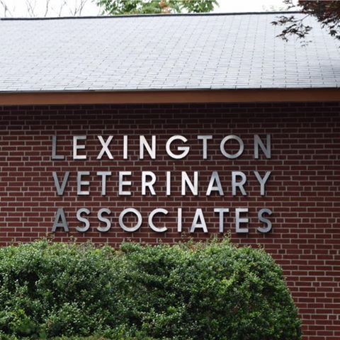 Lexington Veterinary Associates - Lexington , United States