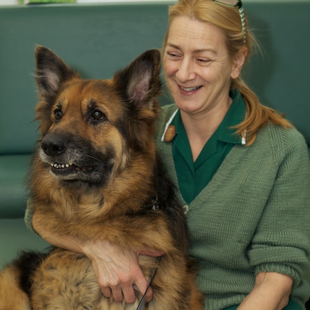 The Park Veterinary Group - Leicester , United Kingdom