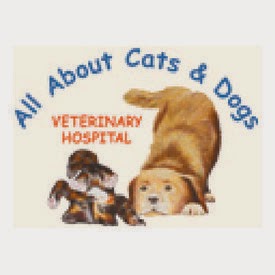 All About Cats and Dogs Veterinary Hospital - Saskatoon , Canada