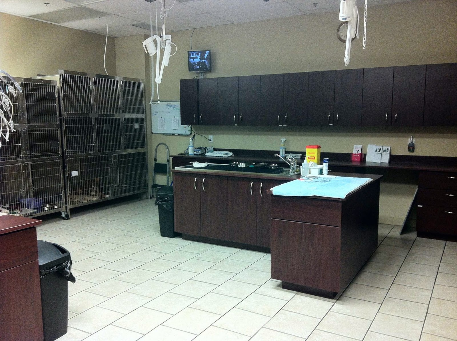 Hwy 403 Dundas Animal Hospital - Mississauga , Canada
