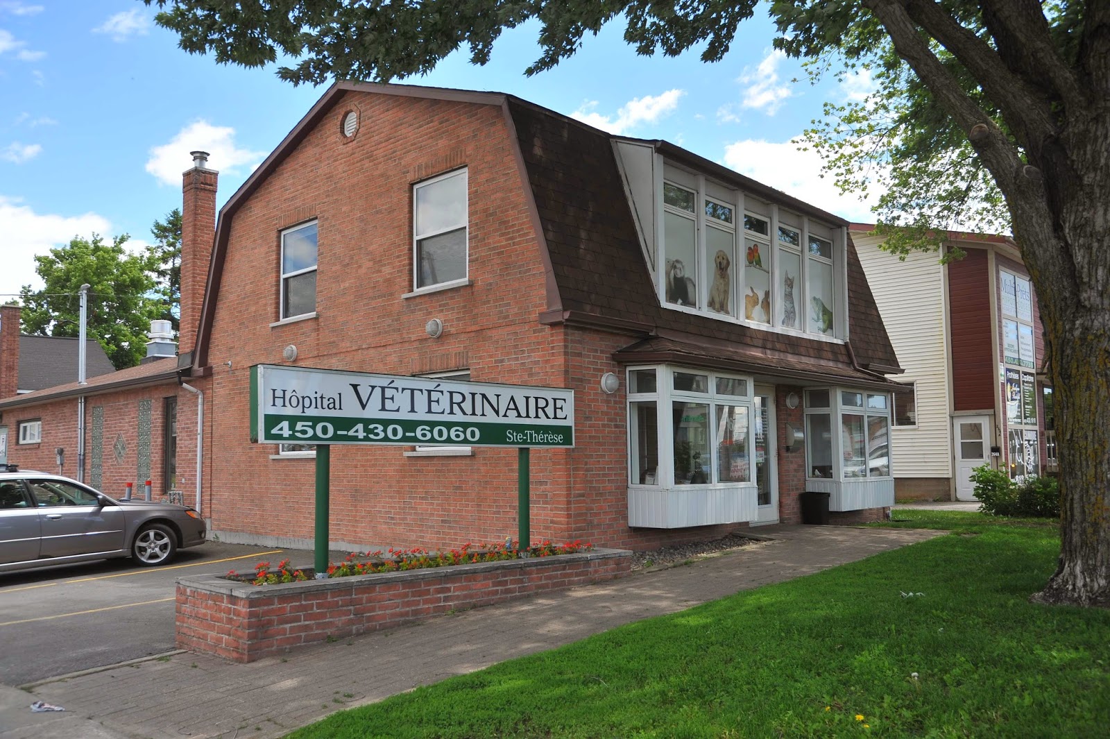 Hôpital Vétérinaire Ste Thérèse Vet Et Nous - Sainte-Thérèse , Canada