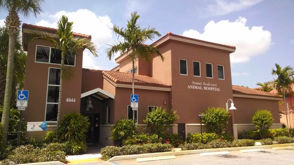 Summit Boulevard Animal Hospital - West Palm Beach , United States