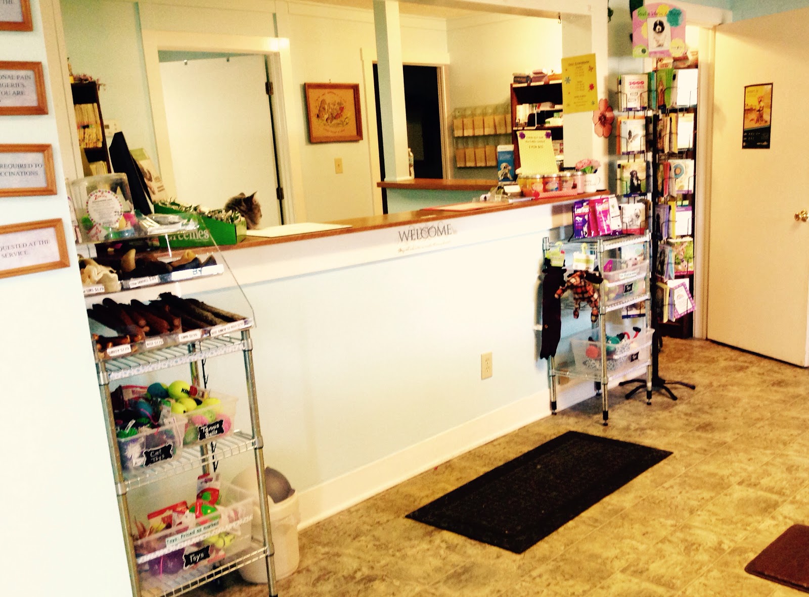 Countryside Animal Hospital - Lebanon , United States