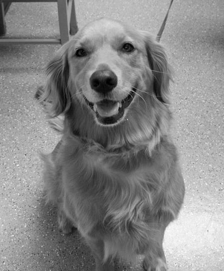 Kibby Park Animal Hospital - Jackson , United States