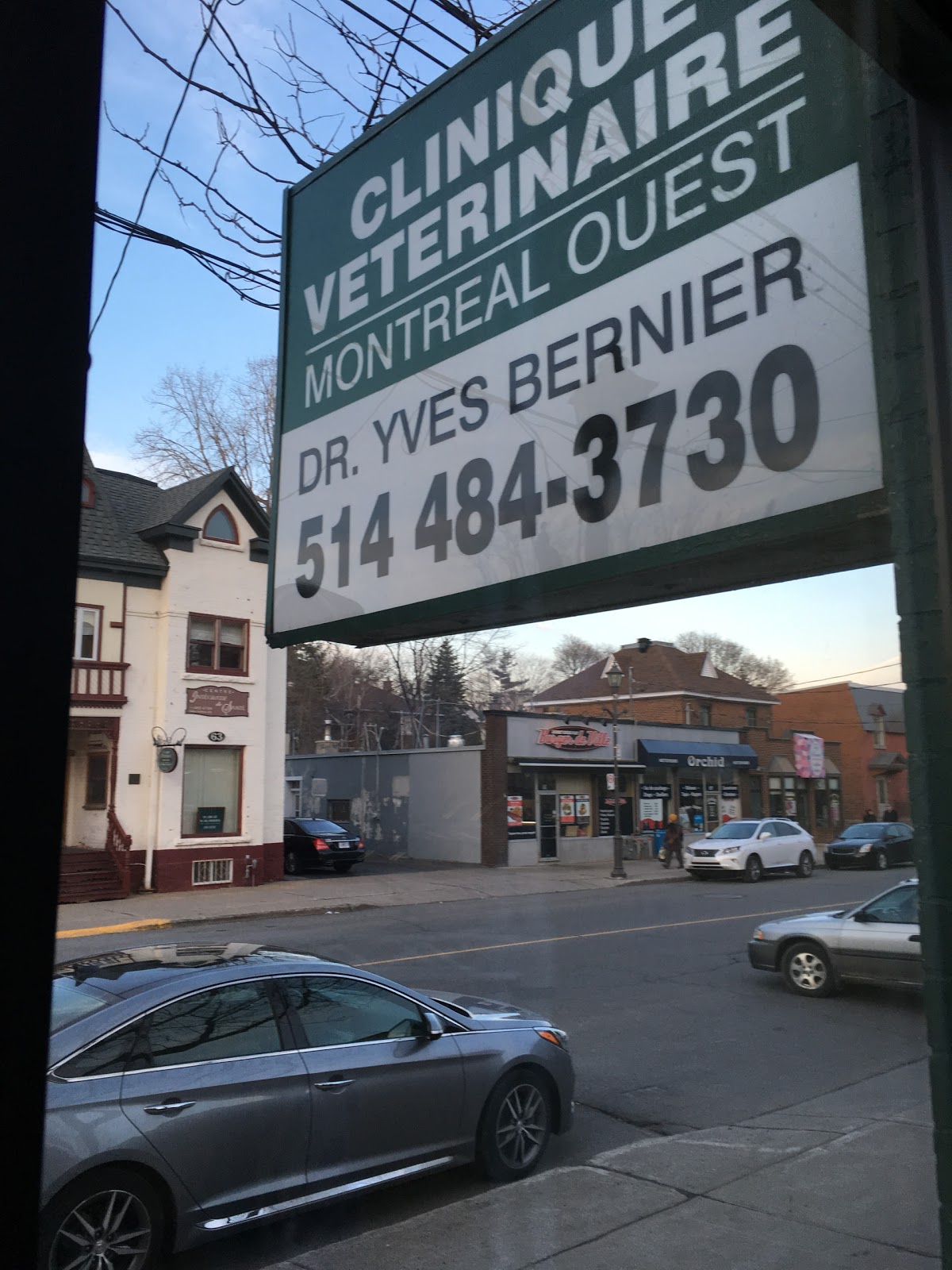 Clinique Vétérinaire Montréal Ouest - Montreal West , Canada