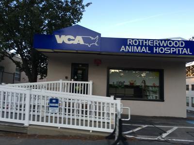 Vca rotherwood best sale