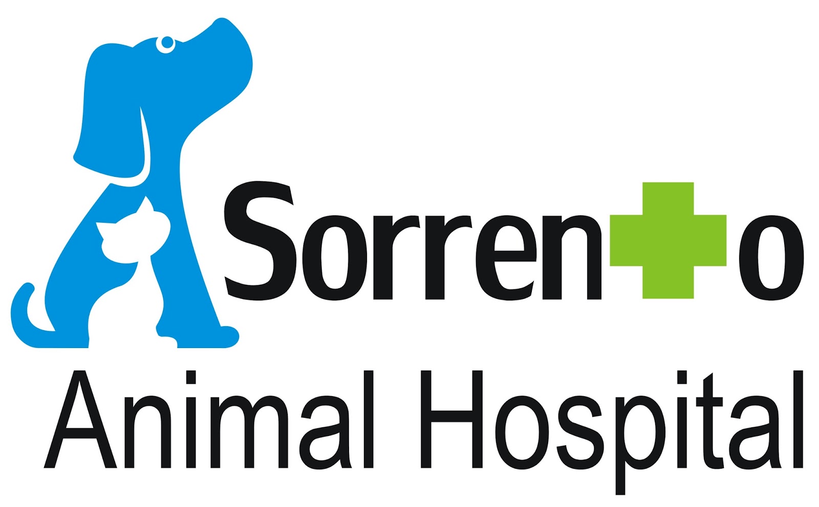 Sorrento Animal Hospital - Sorrento , Australia
