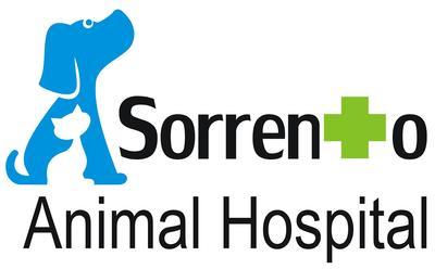 Sorrento veterinary sale clinic