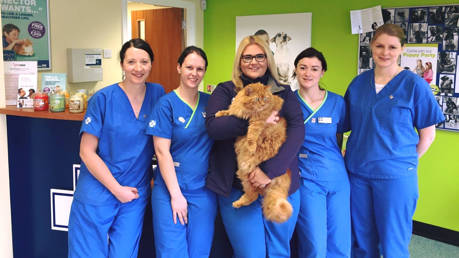White Cross Vets - Liverpool , United Kingdom