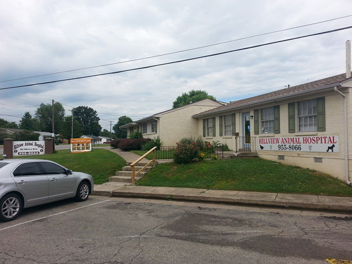 Hillview Animal Hospital And Clinic - Louisville , United States