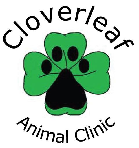 Cloverleaf Animal Clinic - Memphis , United States