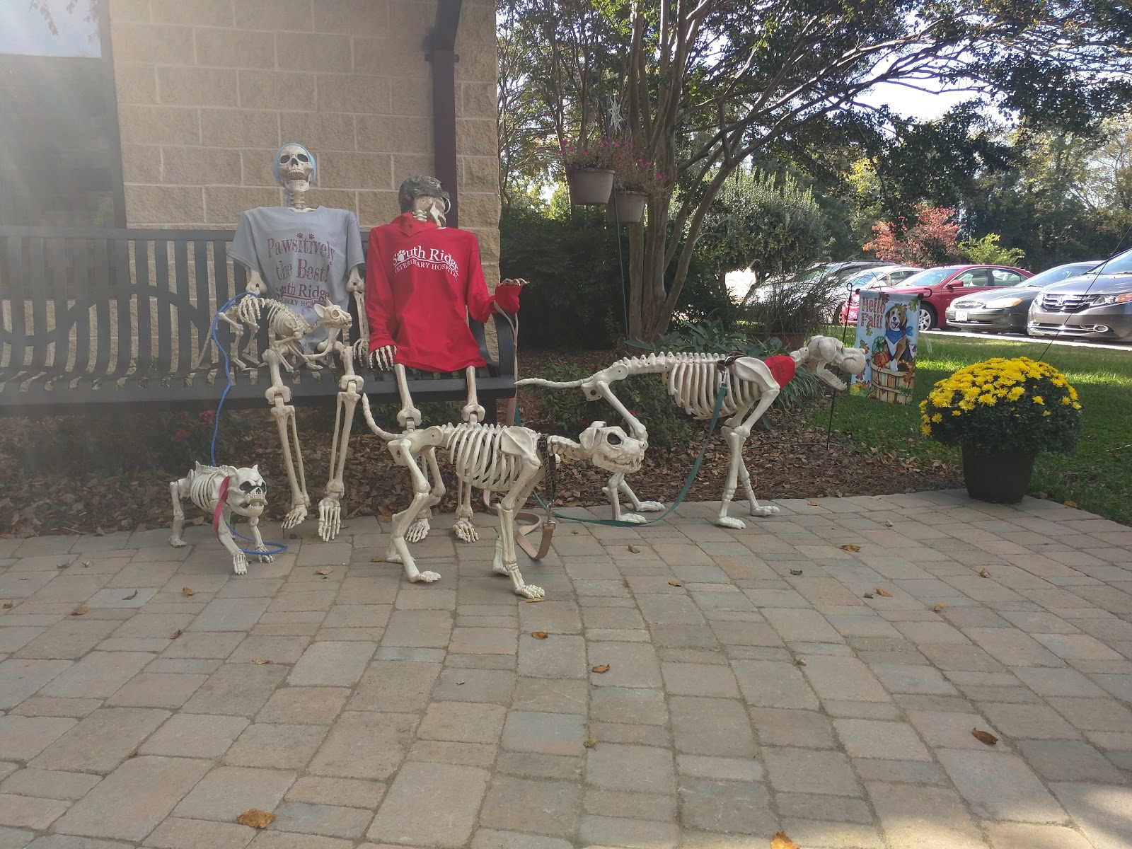 Banfield Pet Hospital - Kannapolis , United States