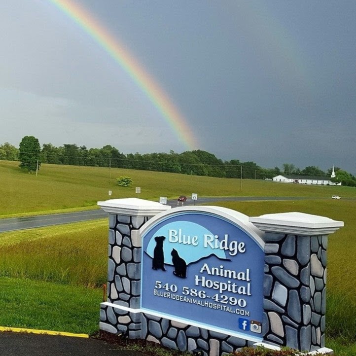 Bluestone Veterinary Services - Bedford , United States