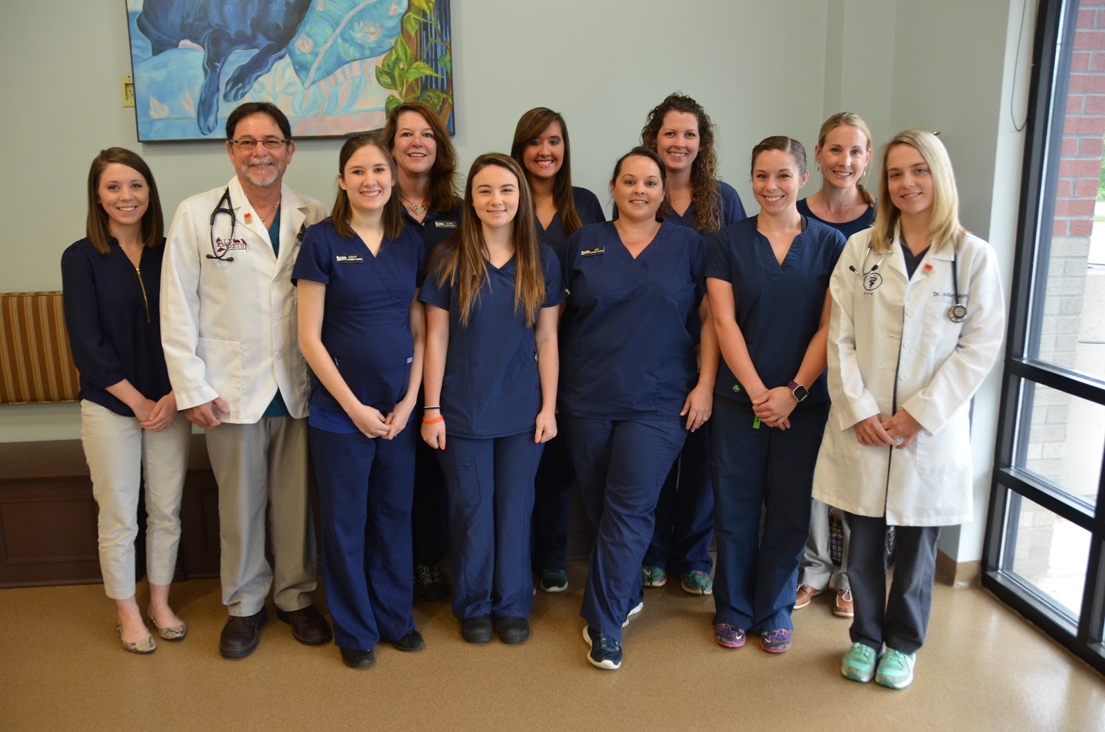 All Pets Health Center - Spring Hill , United States