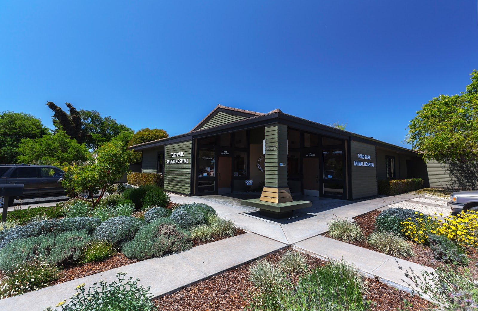 Toro Park Animal Hospital - Salinas , United States