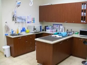 Derry Heights Animal Hospital - Milton , Canada