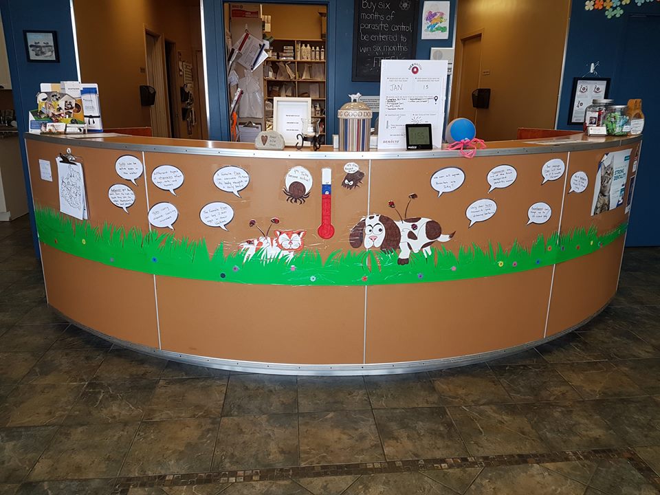 Clayton Park Veterinary Hospital - Halifax , Canada