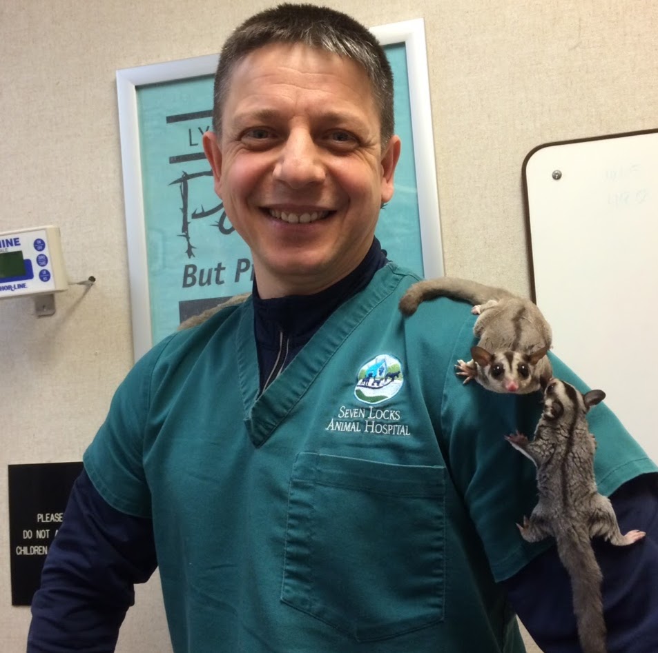 Seven Locks Animal Hospital - Potomac , United States