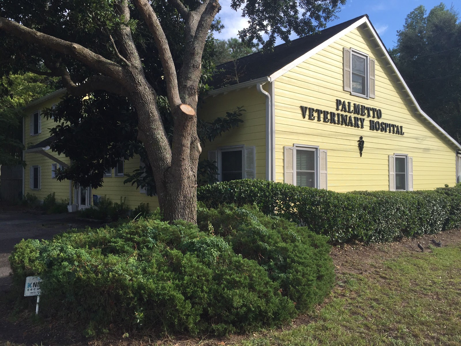 Palmetto Veterinary Hospital - Mt Pleasant , United States