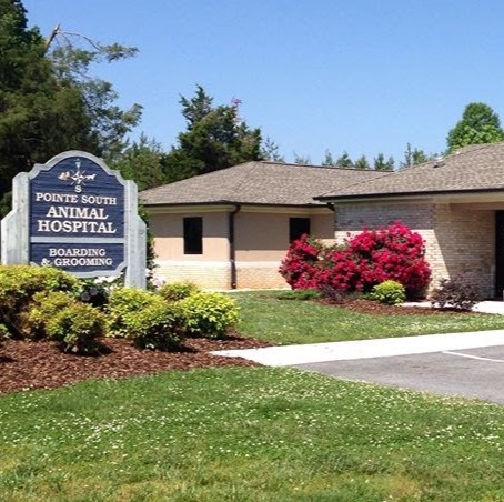 Pointe South Animal Hospital - Randleman , United States