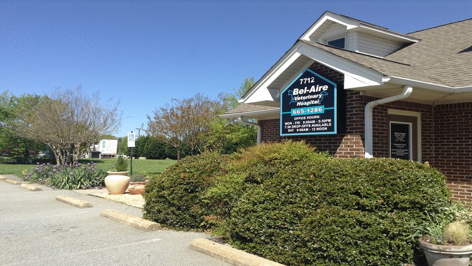 Bel Aire Veterinary Hospital - Greensboro , United States