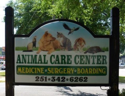 Animal Care Center Of Mobile - Mobile , United States