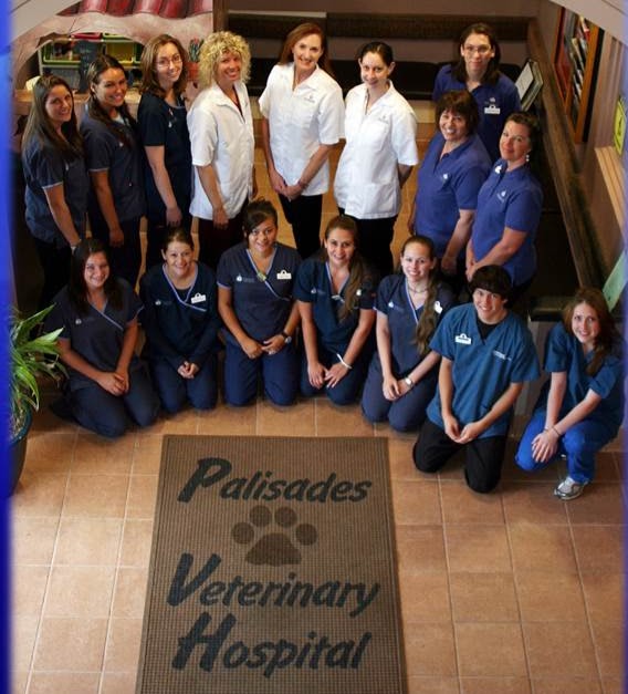 Palisades Veterinary Hospital - Fountain Hills , United States