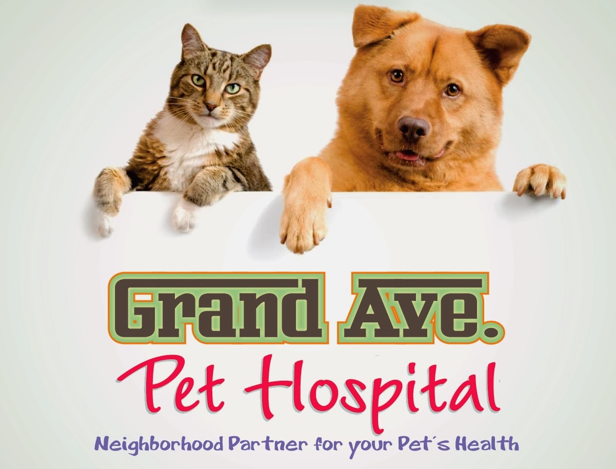 Grand ave 2024 pet clinic