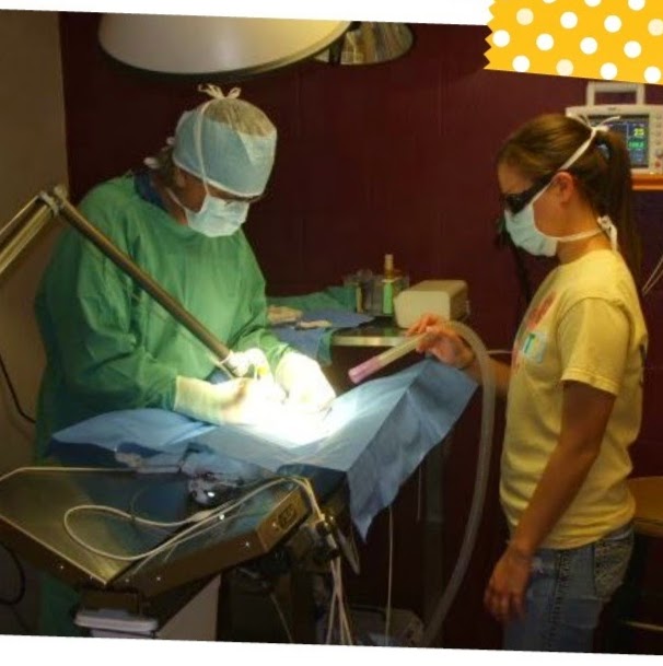 Bar N Veterinary Clinic Pc - Gatesville , United States