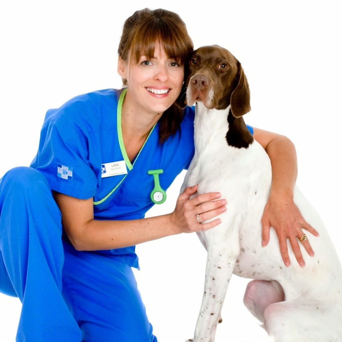 White Cross Vets - Middlesbrough , United Kingdom