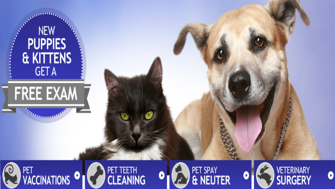 Waldorf Animal Clinic - Waldorf , United States